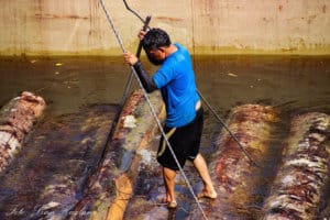 A barefoot worker of a sawmill in the Amazon