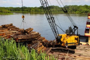 A sawmill in the Amazon