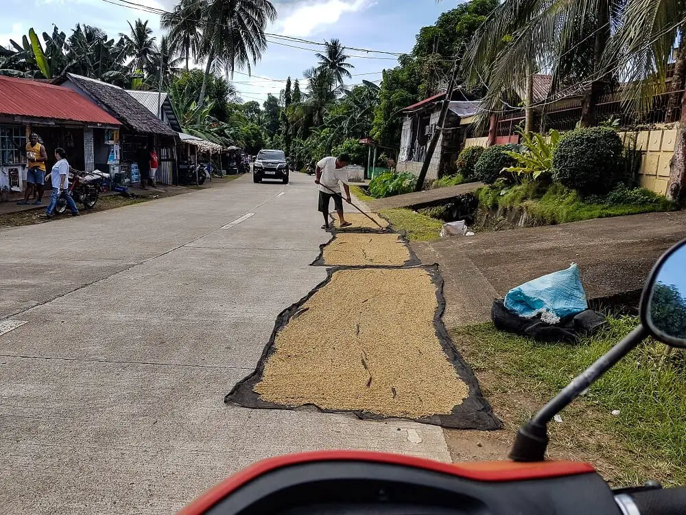 Drying rice on the road in Biliran