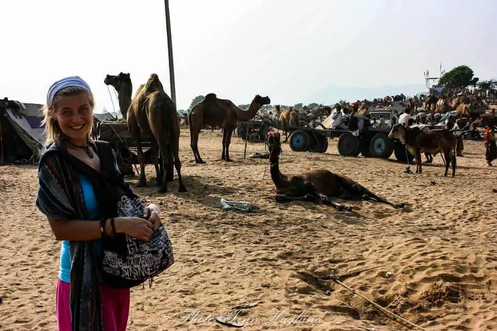 At the largest camel market in India, Pushkar