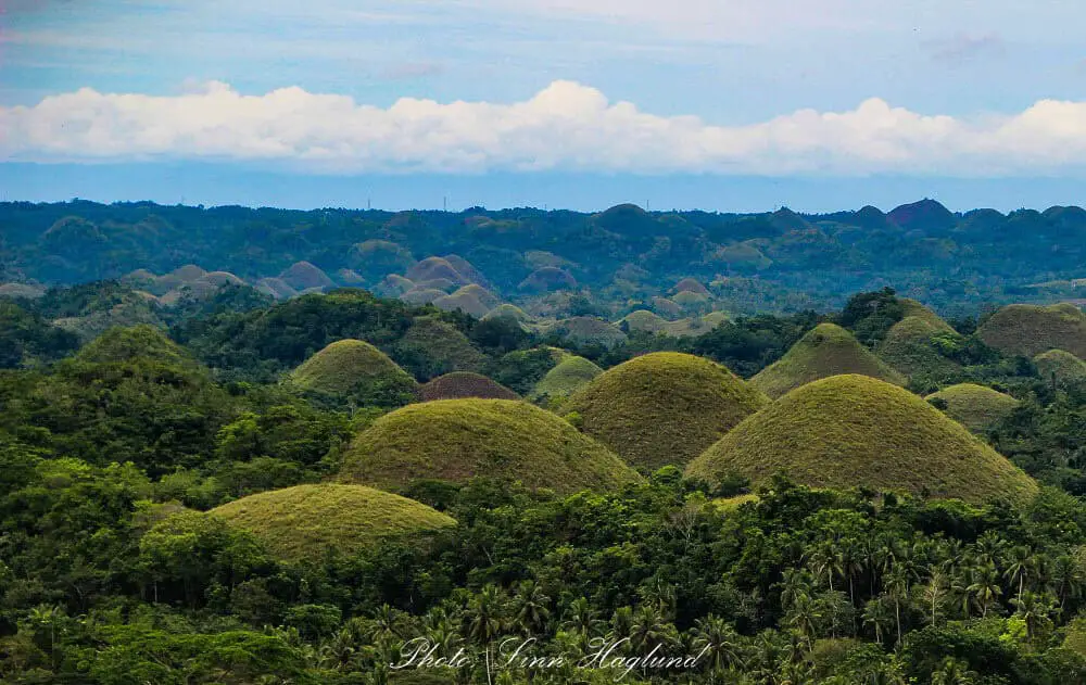 Chocolate Hills is one of the best things to do in Bohol