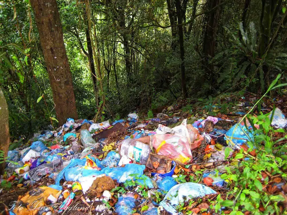 Overwhelming amounts of rubbish in the forest in Malaysia