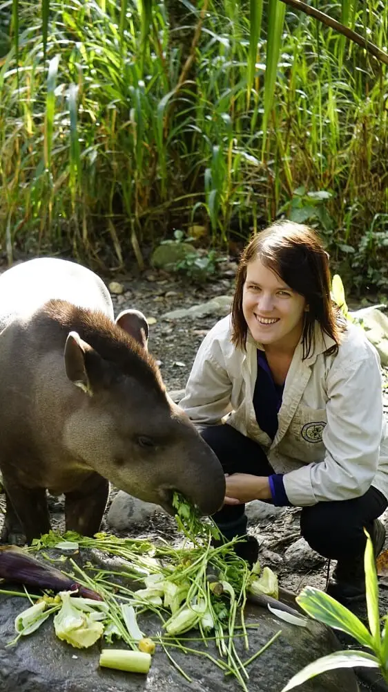 Volunteering at a wildlife sanctuary in Bolivia