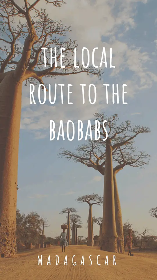The local route to the Baobabs