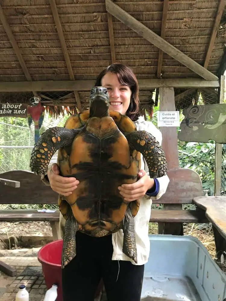 Lora holding one of the tortoises