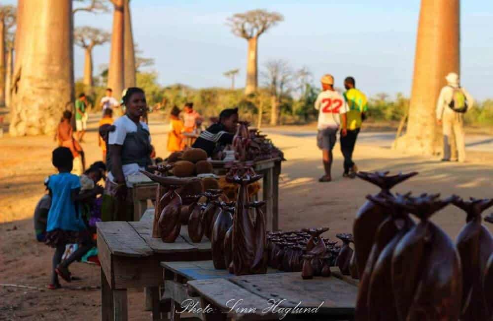 Selling wooden Baobabs