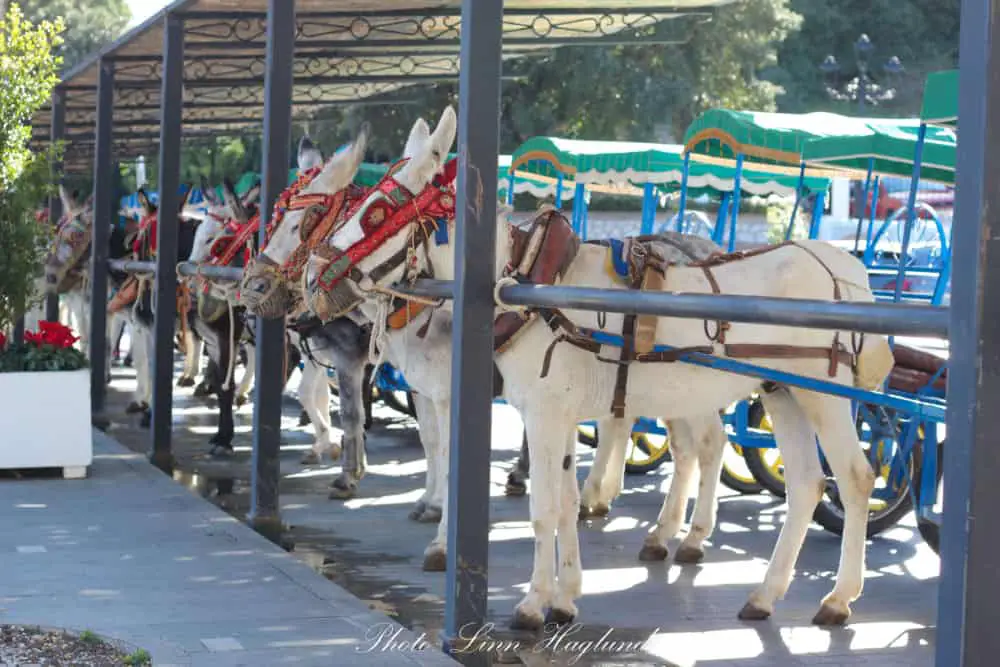 Mijas Donkey Taxi stand in Mijas Pueblo