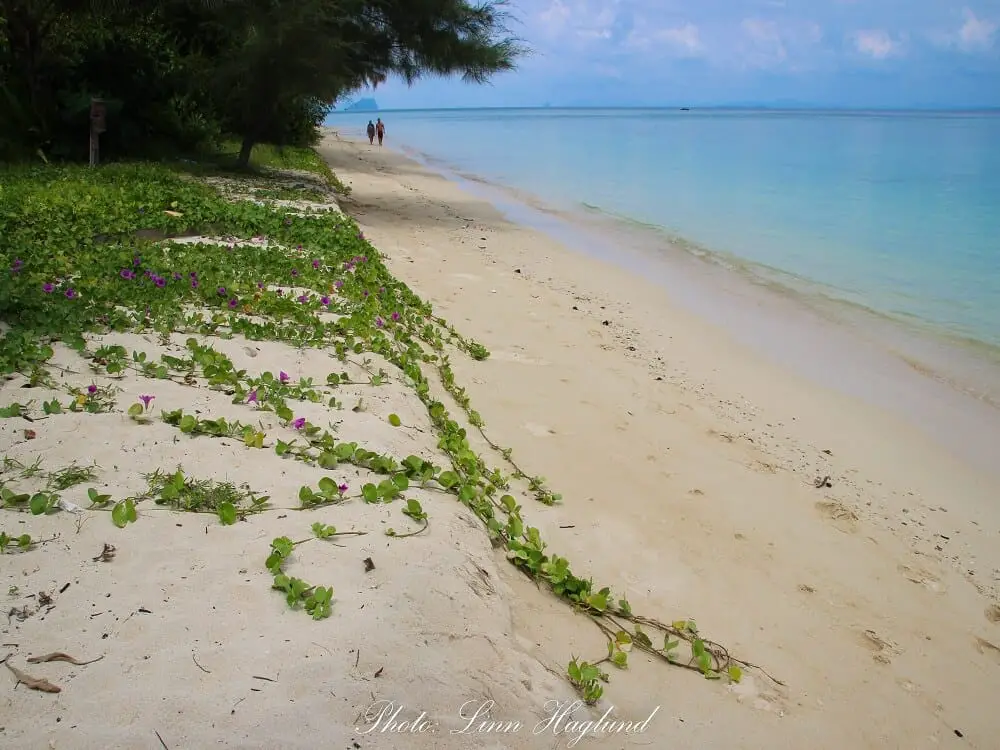 A couple walking on the beach on Koh Ngai