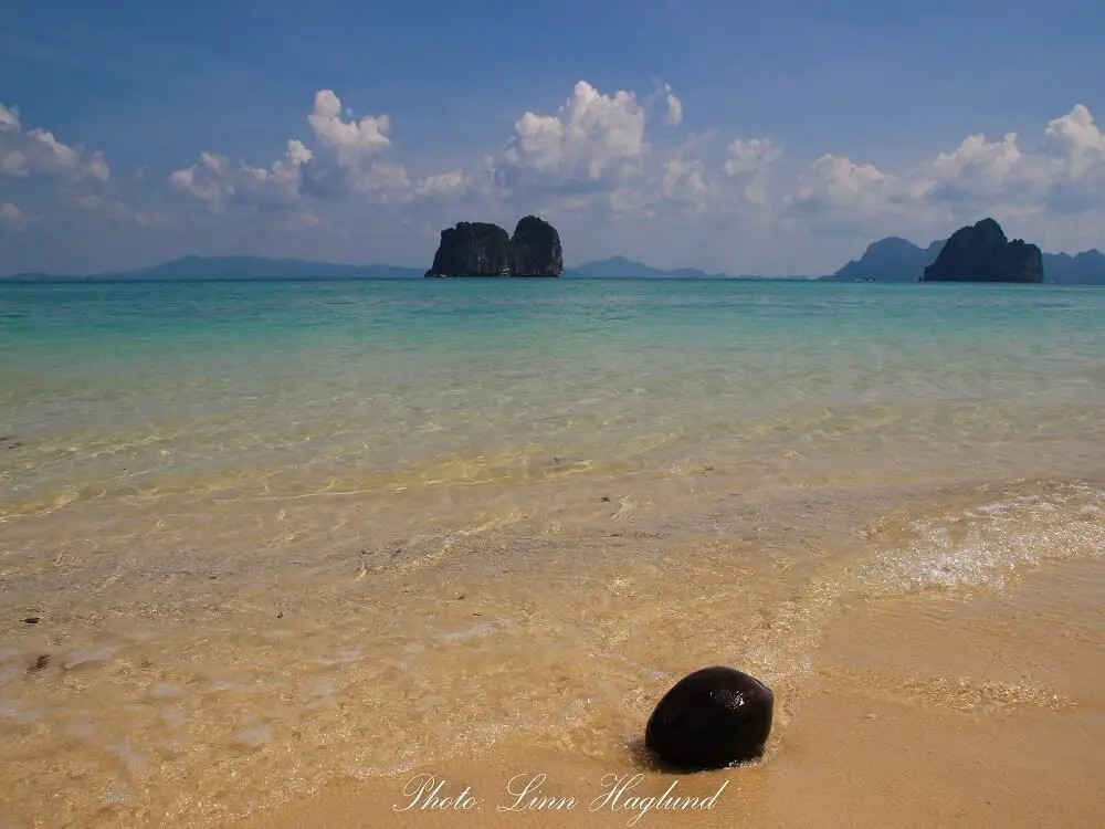 A coconut on the beach of Koh Ngai