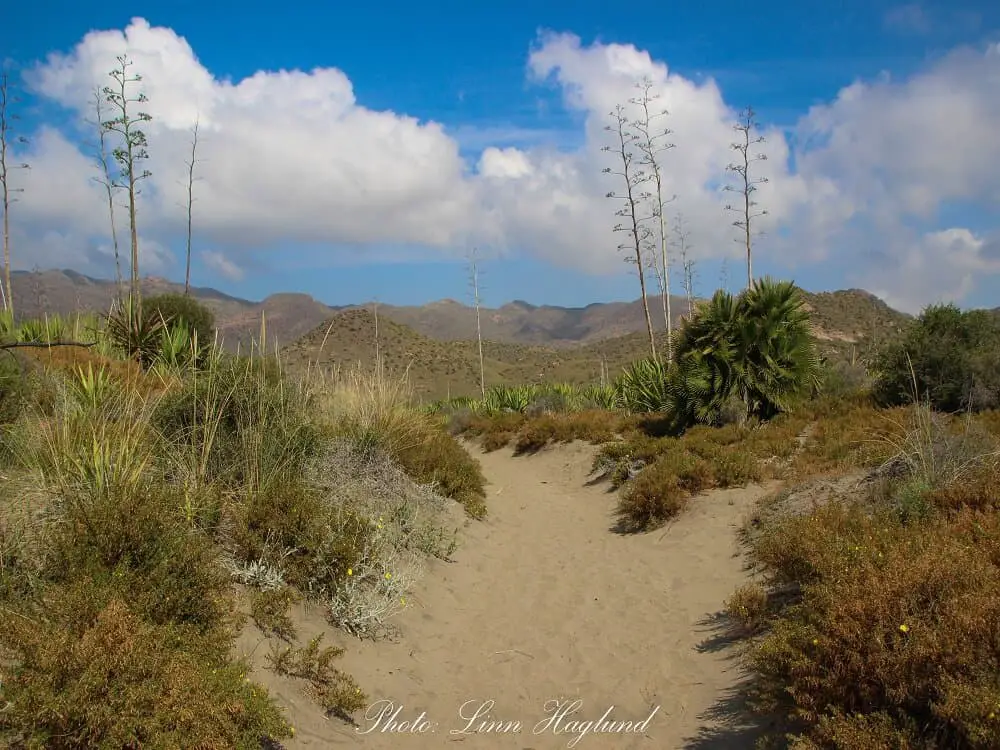 The path to El Barronal beach, my favorite Cabo de Gata beach