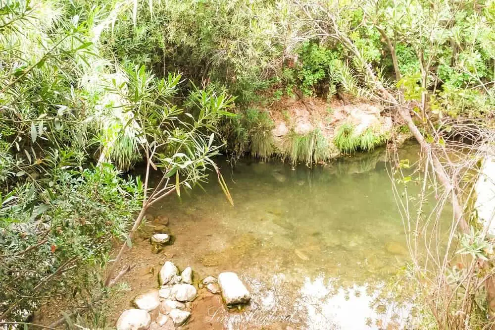 Crystaline pool at Barranco Blanco