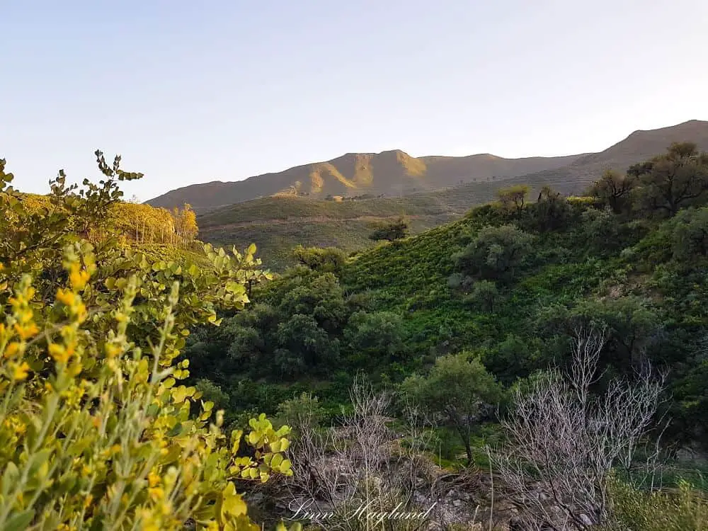 The views on the way from the parking lot to the beginning of the hike