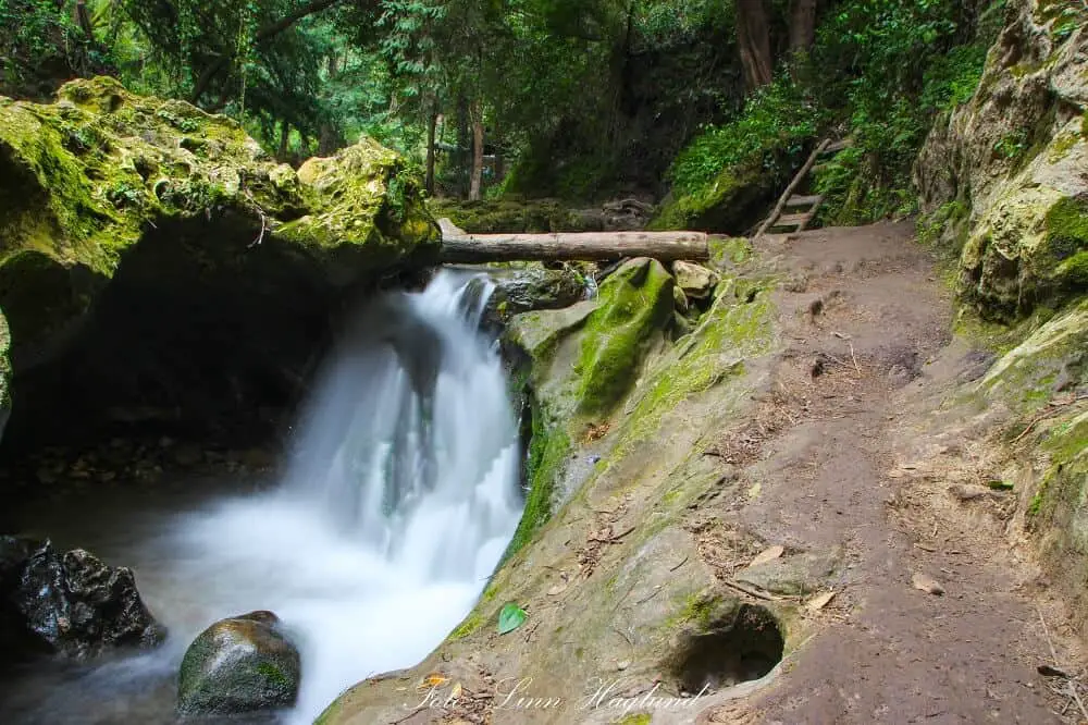 A small waterfall along the trail