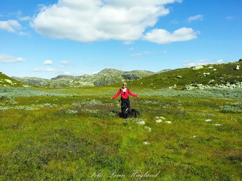 The beginning of Gaustatoppen hike from Stavsro parking