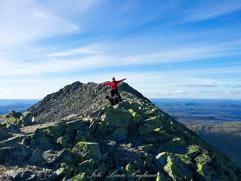 Gaustatoppen summit