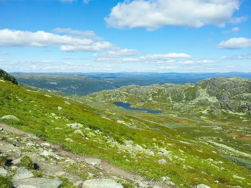 There are stunning views during the entire hike