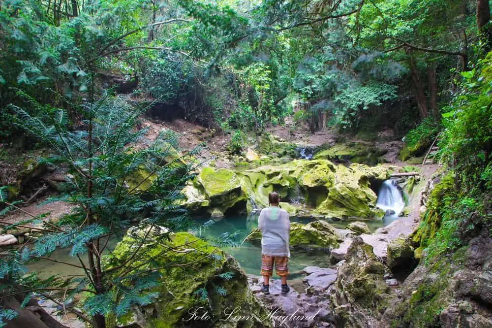 The green mossy trail to Akchour waterfall