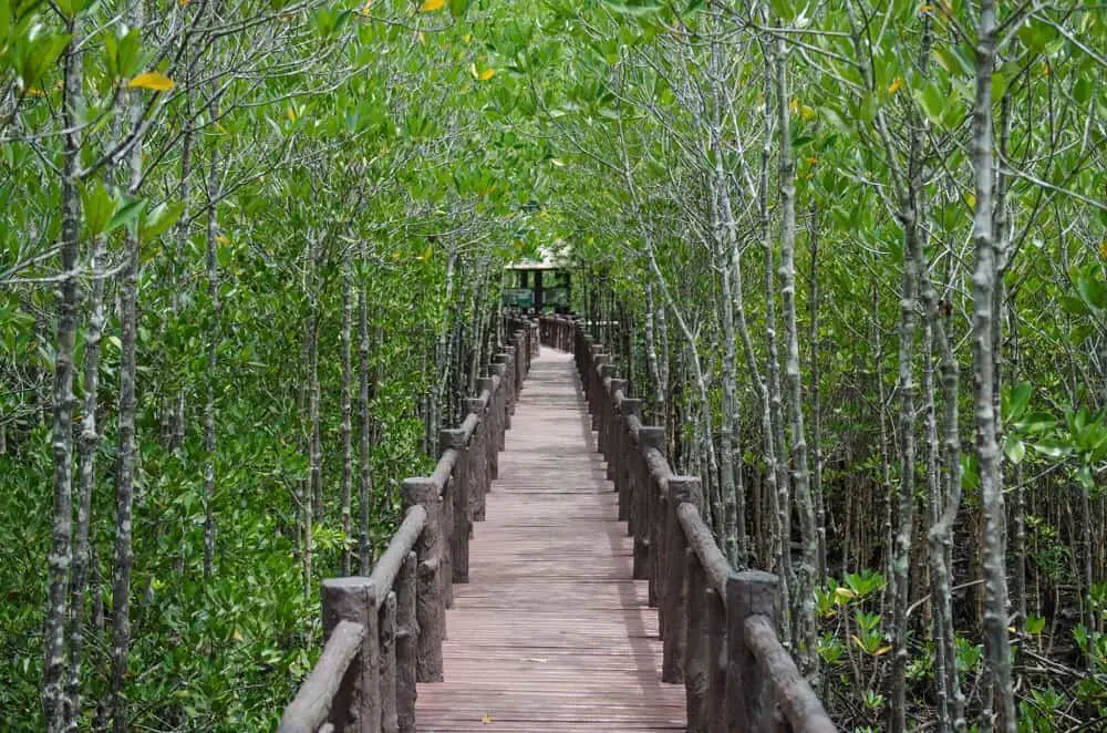 Mu Ko Chumphon National Park is off the beaten track in Thailand