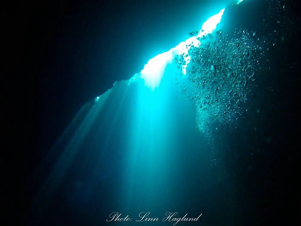 Scuba diving in Cueva de Los Peces