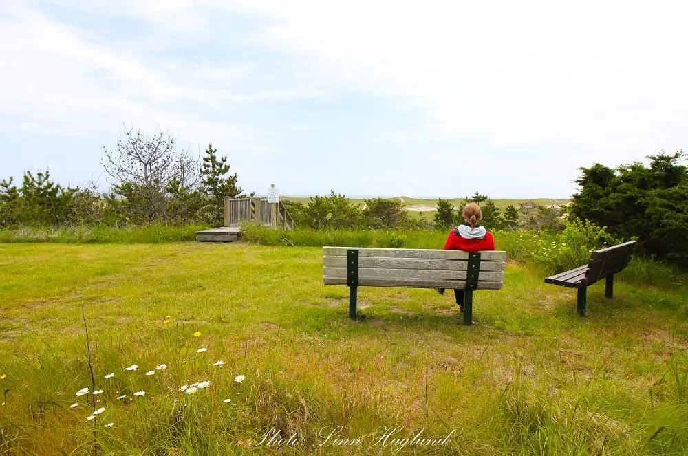 Sitting on a bench enjoying the green landscape of Nantucket