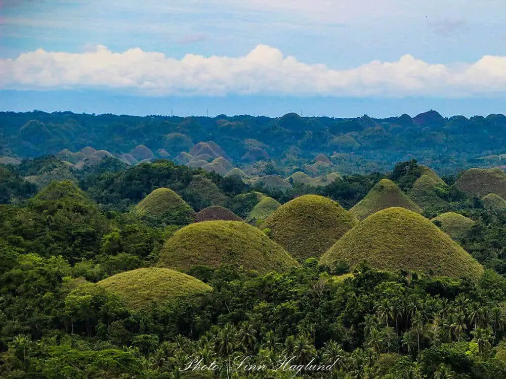 Chocolate Hills in Bohol