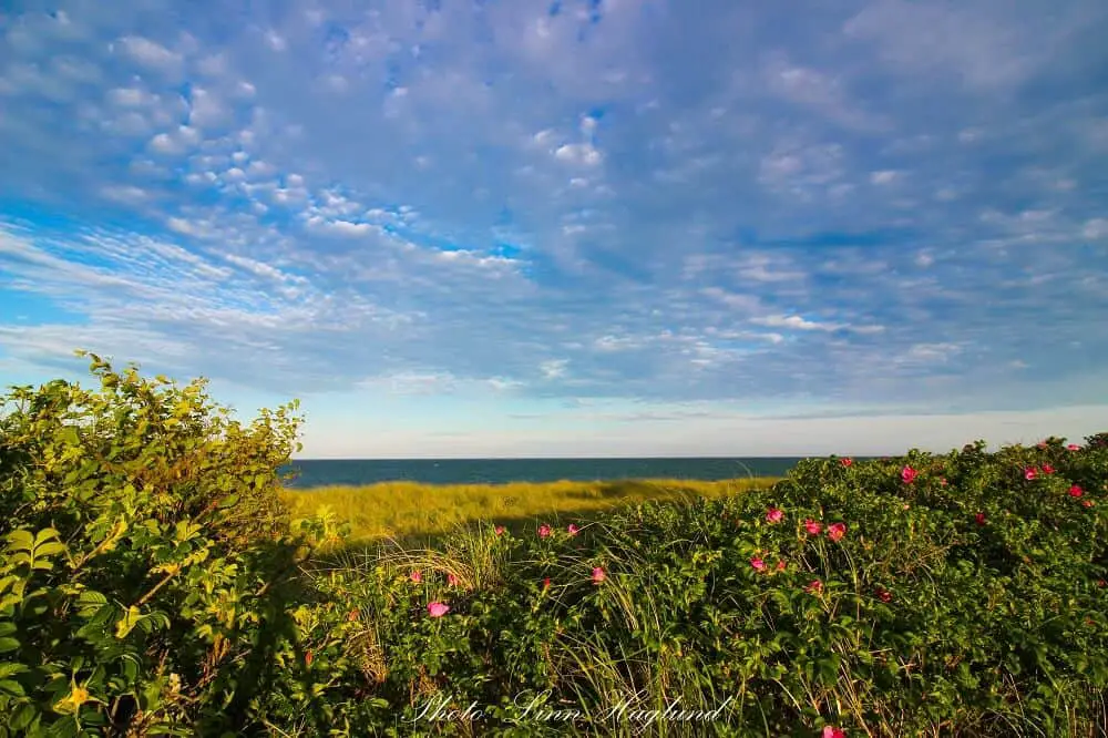 Sconset Bluff Walk