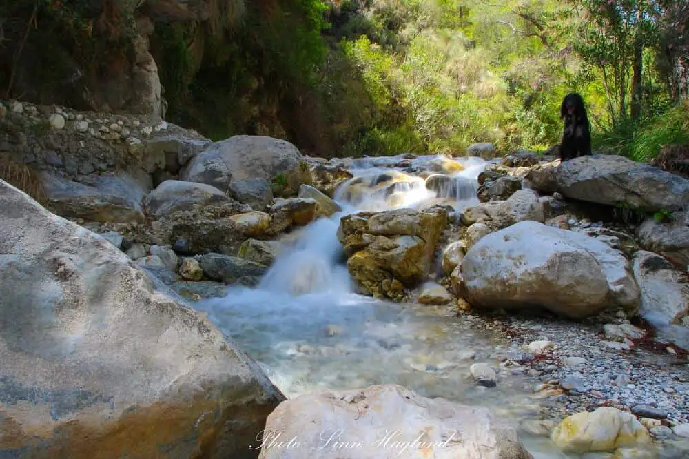 Rio Higueron