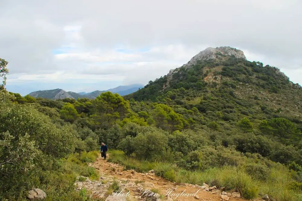 The peak of Cruz de Juanar