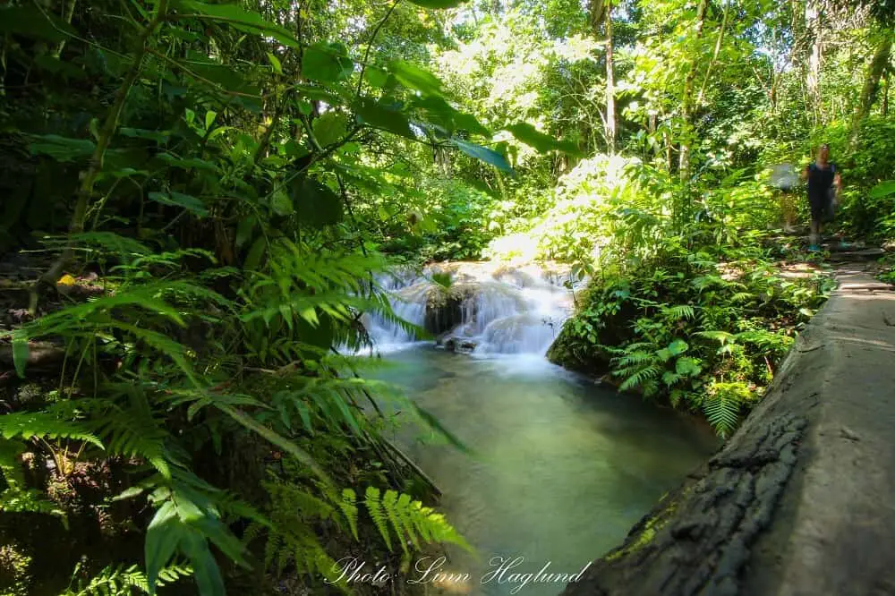 The trail towards El Nicho waterfalls