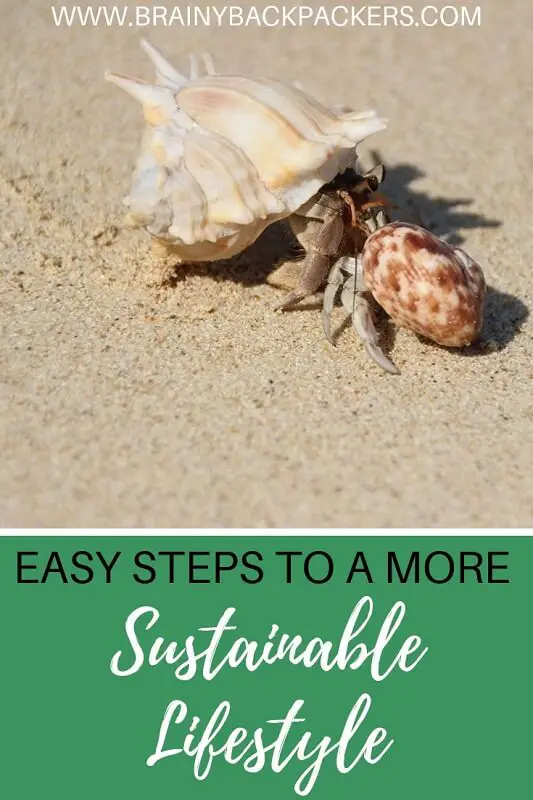 Easy steps to a more sustainable lifestyle. Easy changes you can adapt to your life to live more sustainably. 