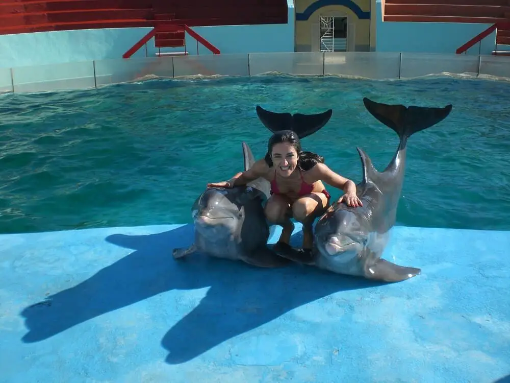 Swimming with dolphins in Cuba