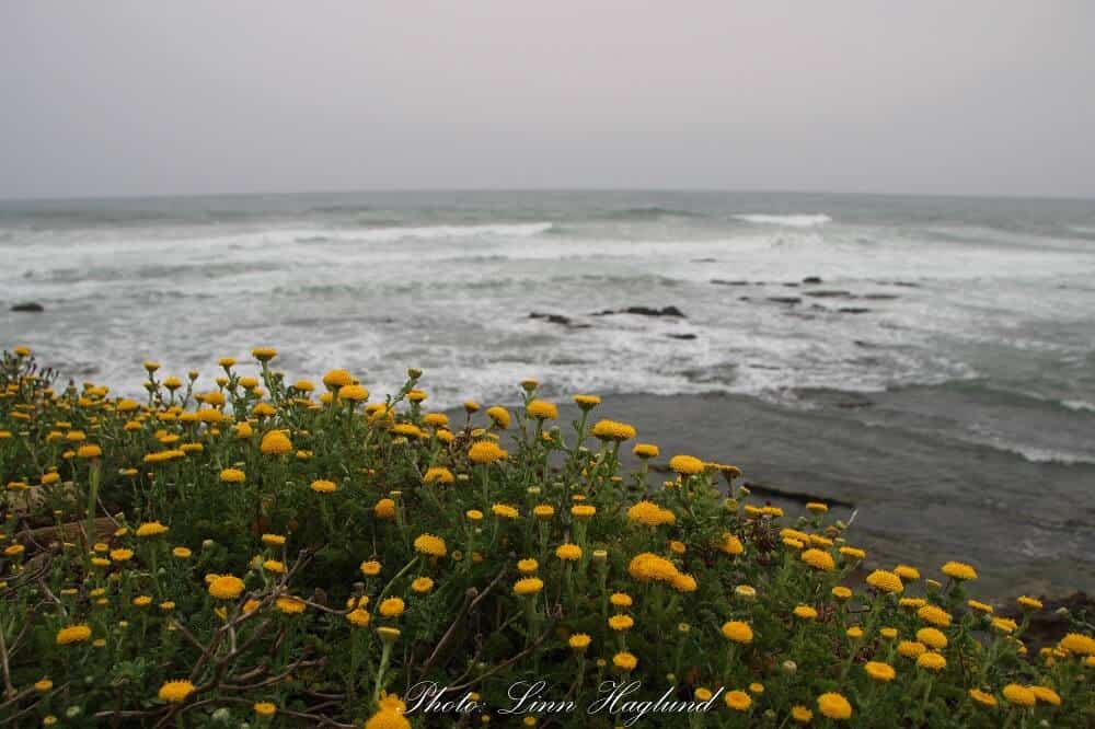 The beach on a gray day