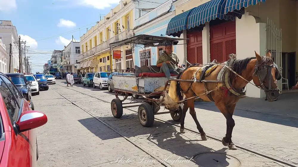 Horse carriage in Trinidad