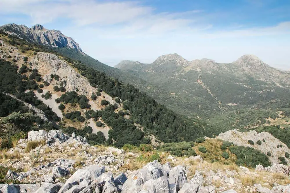 El Pinzapo trail - hiking in Spain
