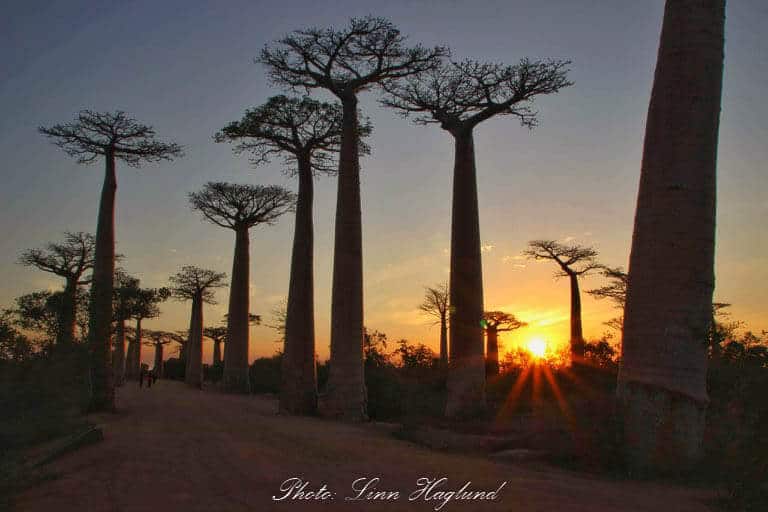 One of the off the beaten path travel destinations you should visit is Madagascar