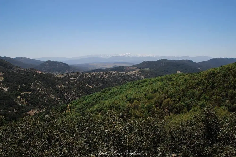 Tazekka National Park