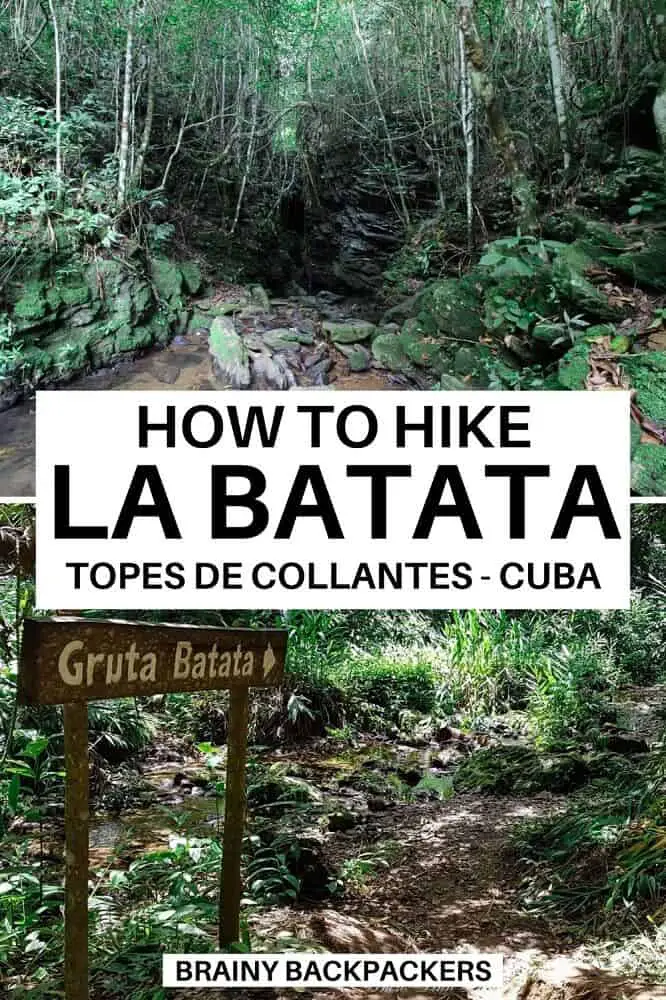 Are you looking for an unknown hike in Topes de Collantes in Cuba? Then La Batata hike is just for you! Winding through lush green forest along the light bubbling river La Batata takes you to a hidden cave system. #responsibletourism #cuba #cubatravel #hiking #hikingcuba #nature #labatatahike #caribbean #hikingtrailsincuba #sustainabletravel #outdoors #topesdecollantes 
