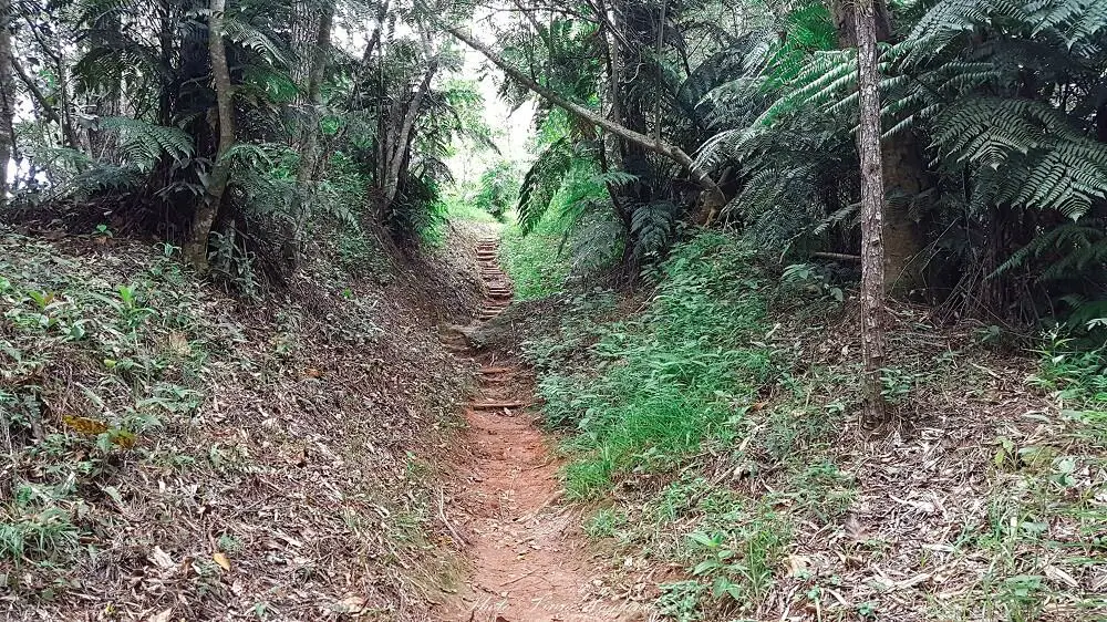 La Batata hiking trail Cuba