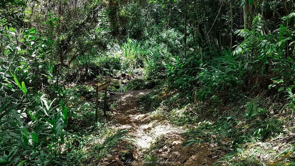 La Batata trail