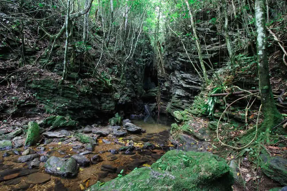 The beginning of the cave system La Batata Cave Cuba