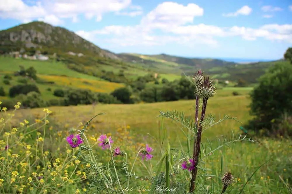 Fields off the beaten path in Spain