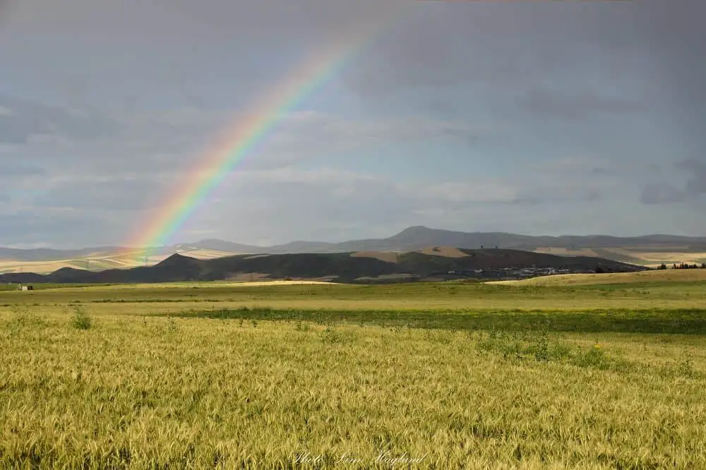 A beautiful rainbow on our Morocco 1 week itinerary. Spring is best time to travel to Morocco when the fields are golden.
