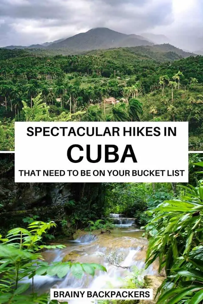 Are you ready to go hiking in Cuba? Find some of the most spectacular hikes in Cuba for all levels. Including responsible hiking tips. #responsibletourism #cubahiking #caribbean #cuba #nature #hikingtips #besthikesincuba #cubatrekking #brainybackpackers #nature #adventure