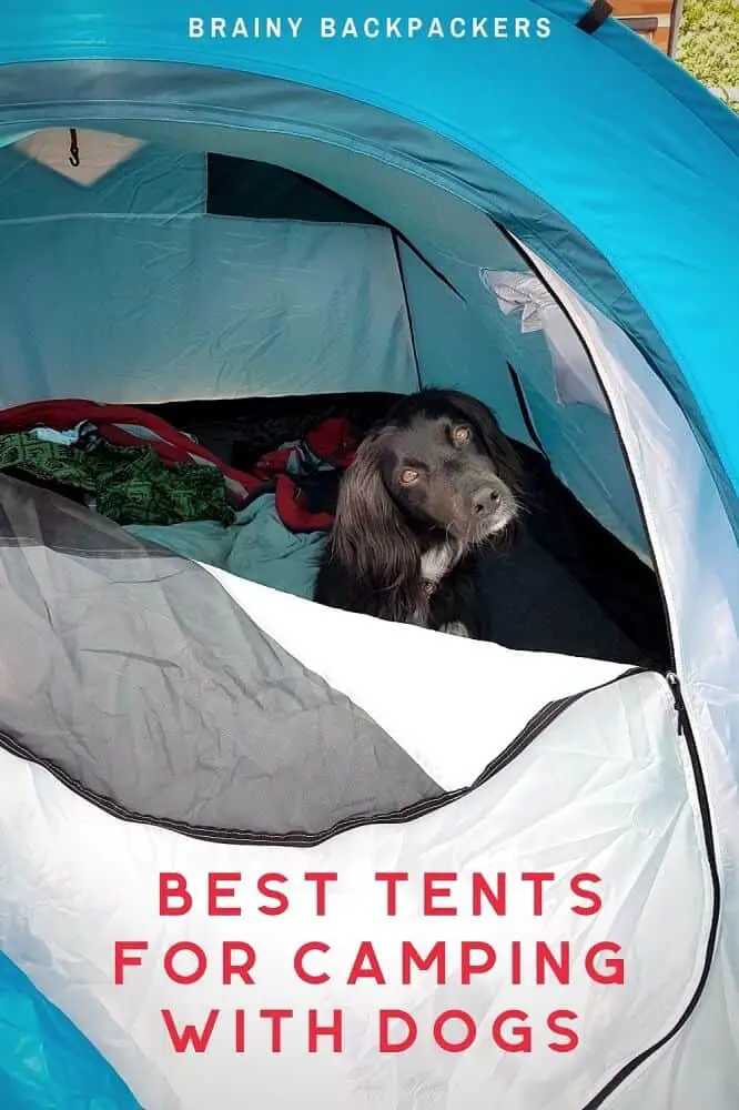 Dog hotsell proof tent