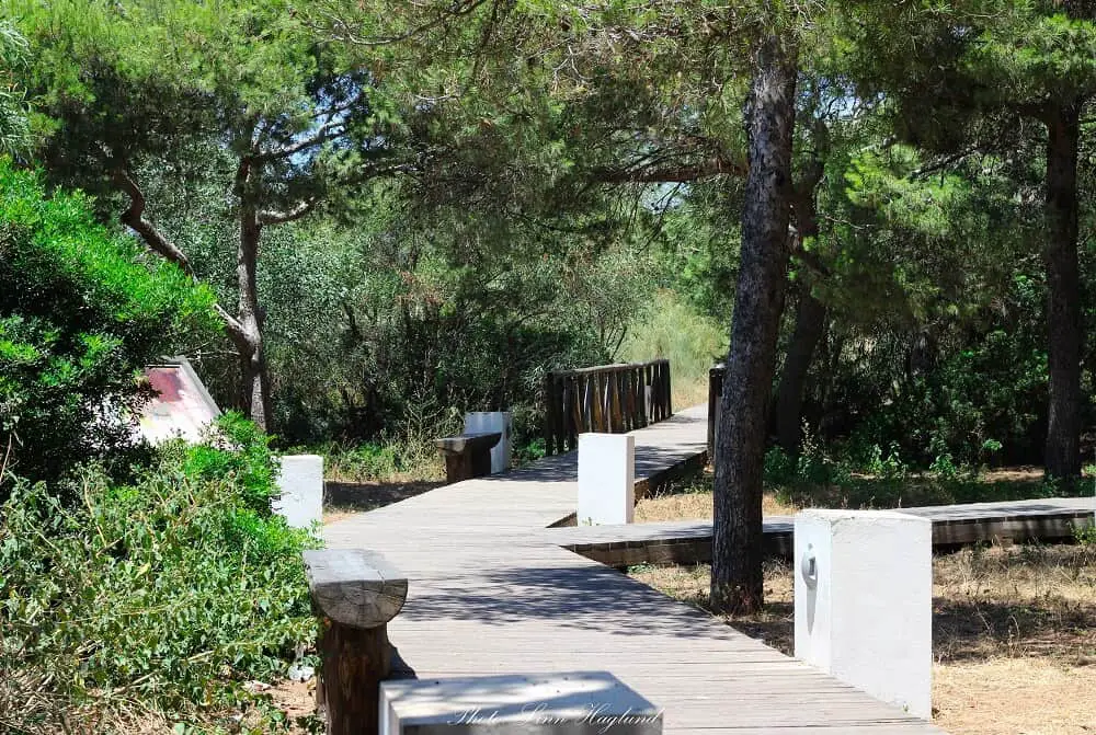 Board walk through the forest on top of the cliffs in Conil de la Frontera