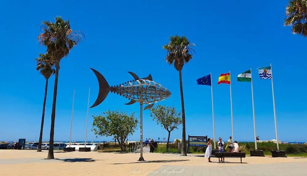 Conil de la Frontera beach front