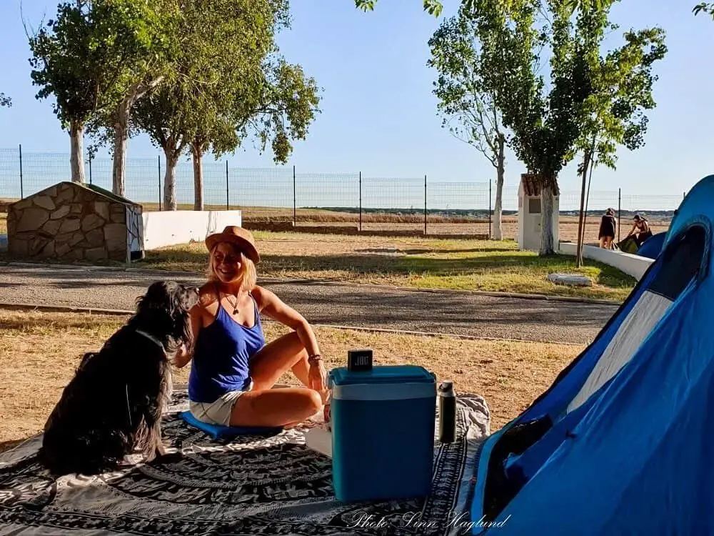 How to chose the best tent for camping with dogs