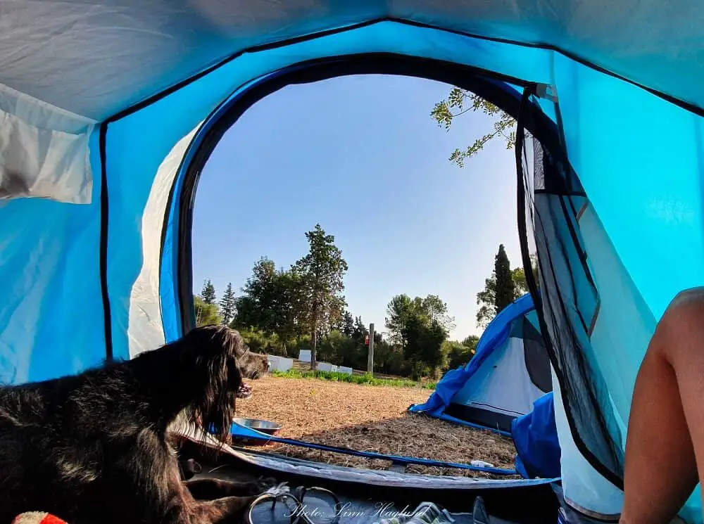 Dog proof shop tent