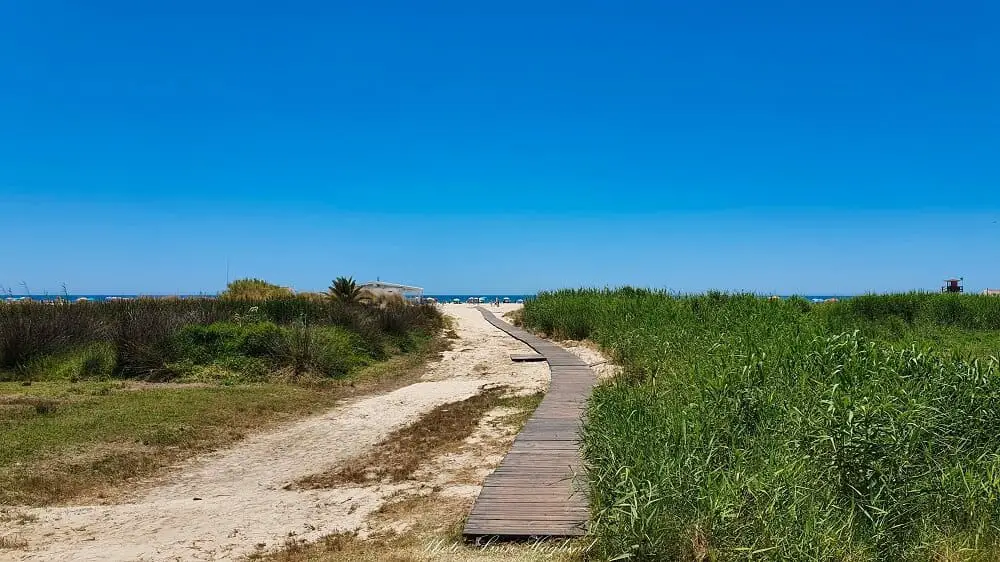 Path to Conil de la Frontera beach