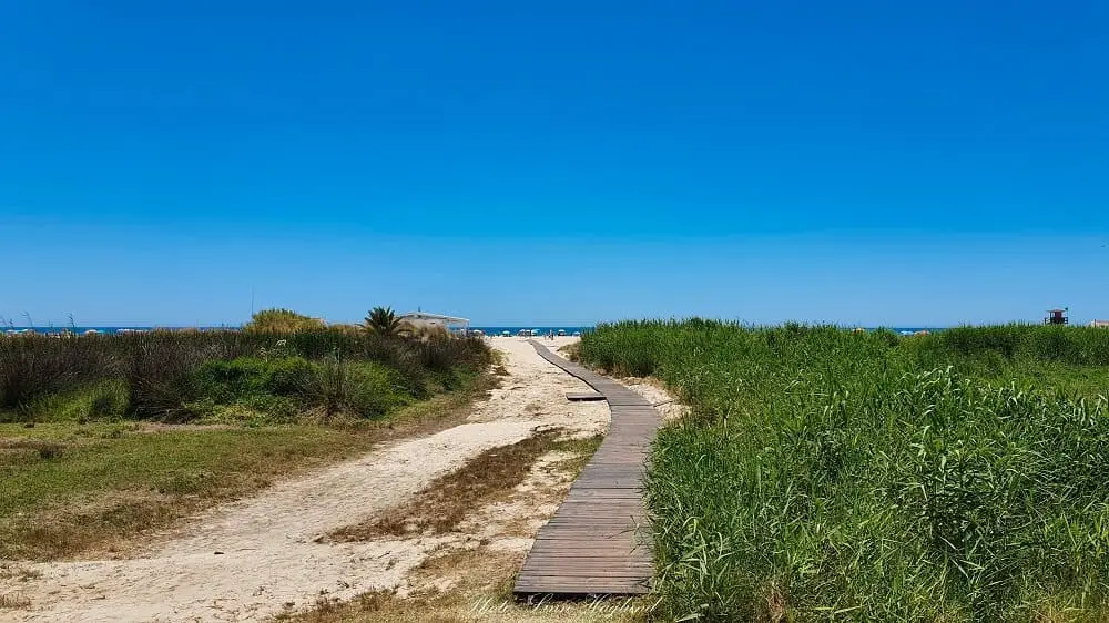 Conil de la Frontera - bestandalucia